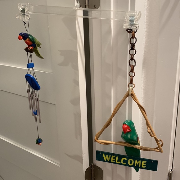 Parrots 🦜 - Picture 2 of 12